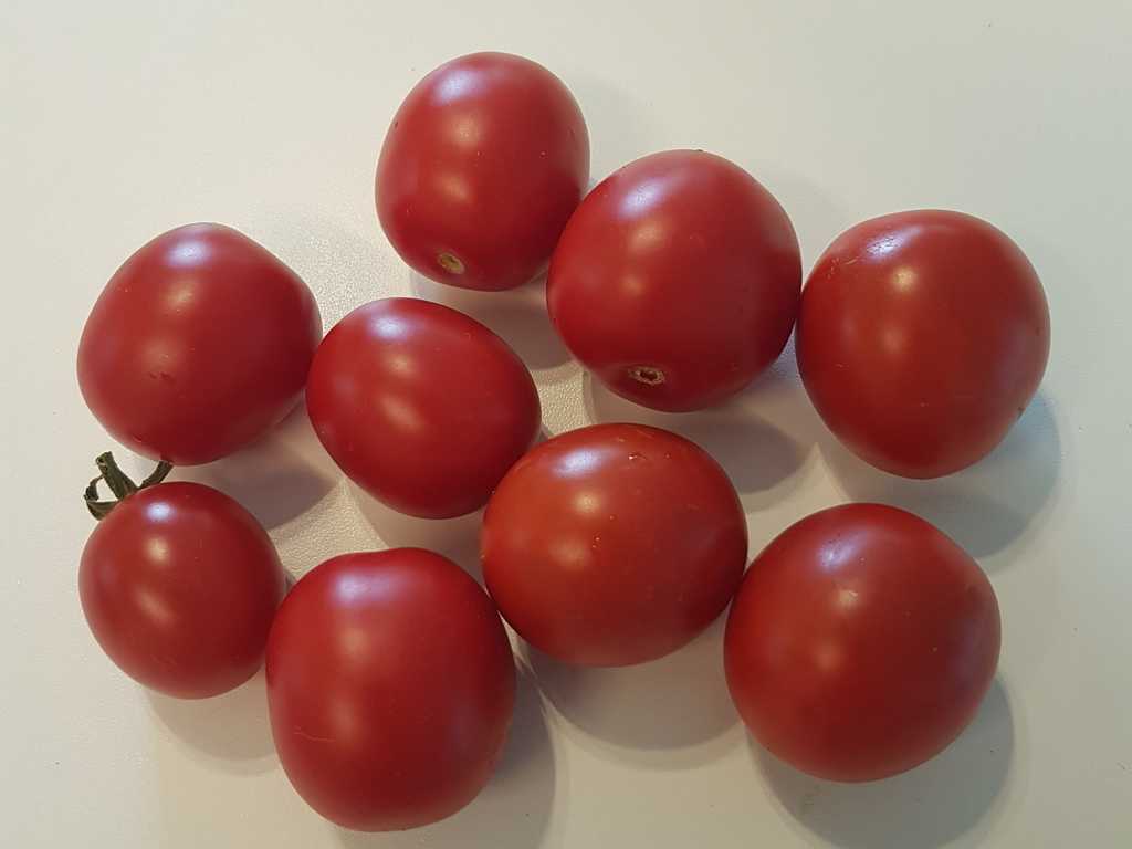 Larisu Ivanovnu Hochu 