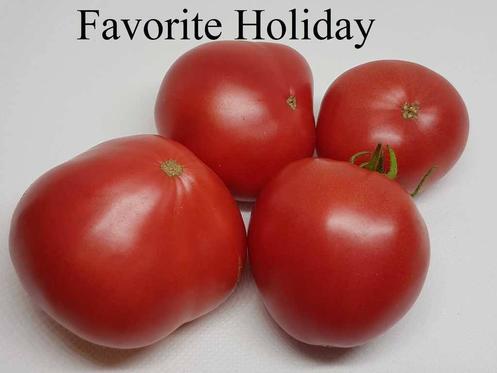 Ljubimyj Prazdnik - Favorite holiday