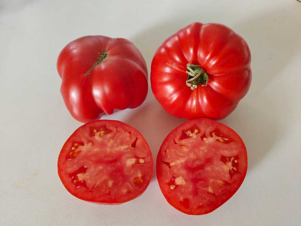 Milka's Red Bulgarian