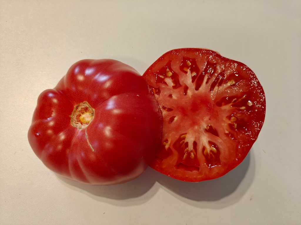 Minusinskij Podarok Sherbininoj 