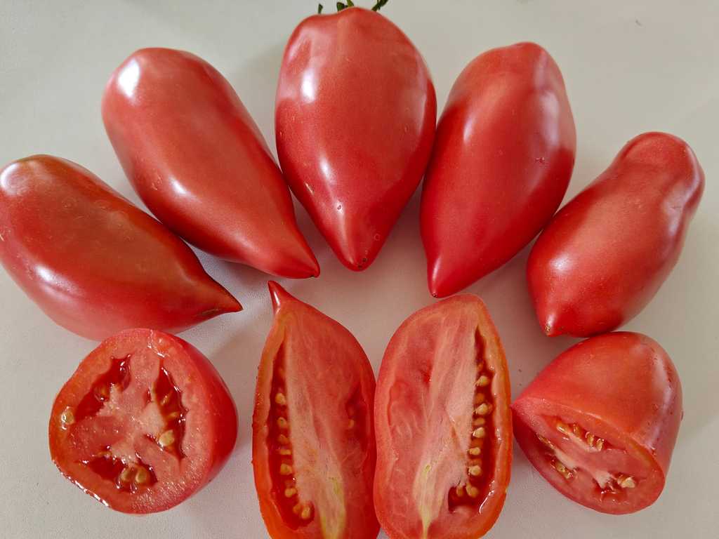 Minusinskije Stakany