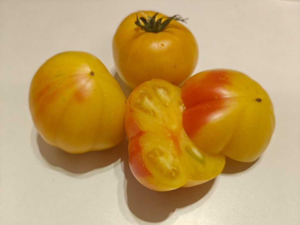 Minusinskoje Mango