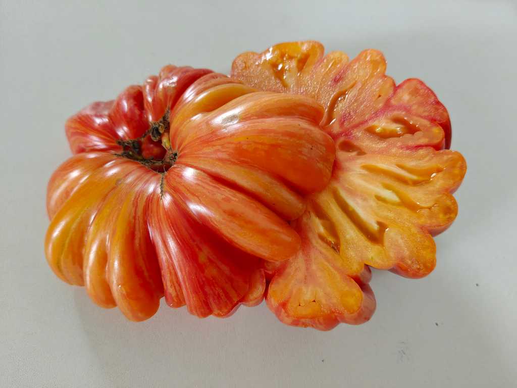 Mushroom Basket Striped