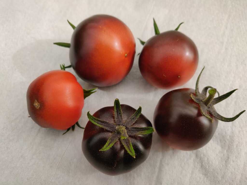 Night Saransk (Nochnoj Saransk)