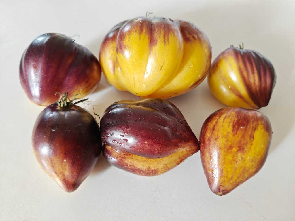 Ochen Sladkij Bljuz, Very Sweet Blues