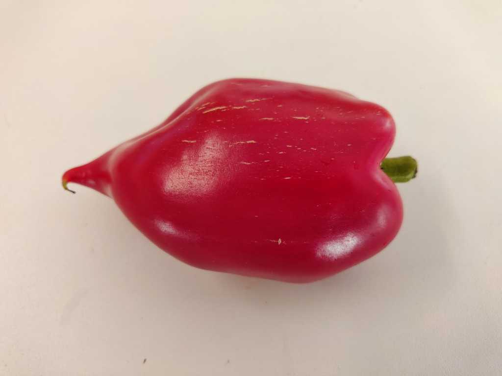 Paprika Plovdivskaja Kapia