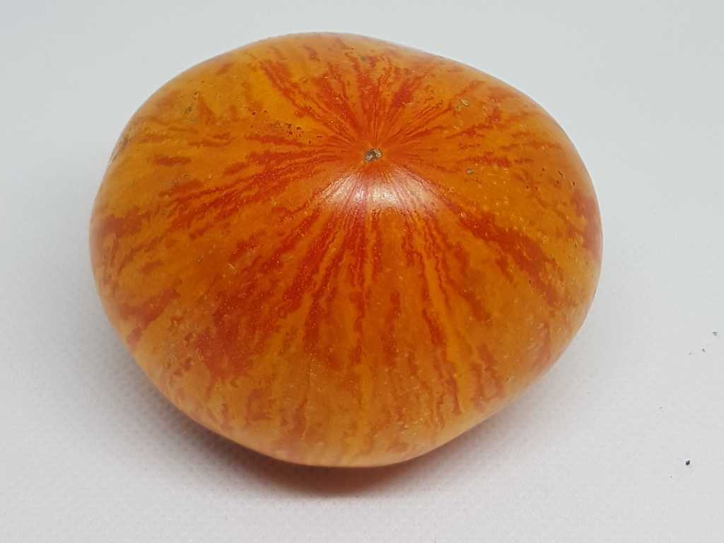 Plan 9 from Outer Space