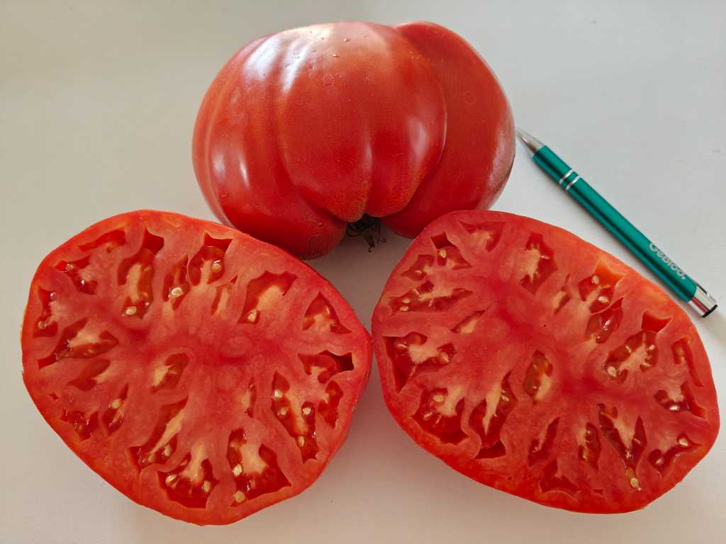 Ploskoje serdze Minusinskoje (Platt Hjärta)