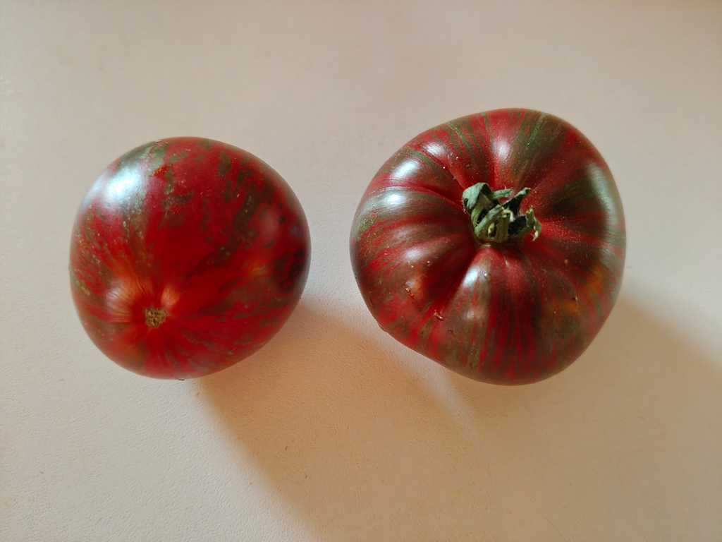 Rebel Starfighter Blane’s Moonlight