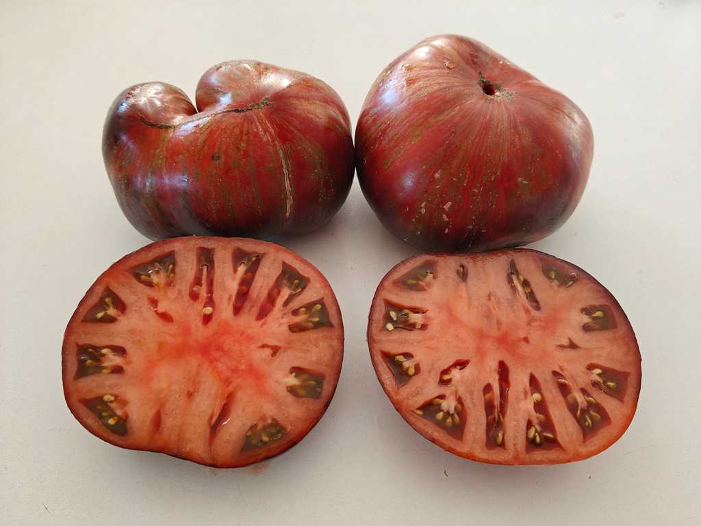 Rebel Starfighter Dipper Delight