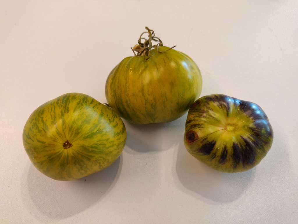 Rebel Starfighter VT 16