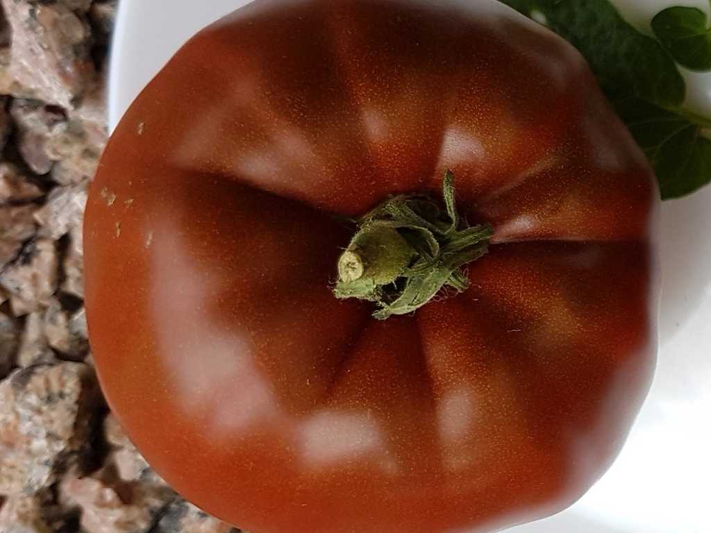 Reinhard's Chocolate Heart