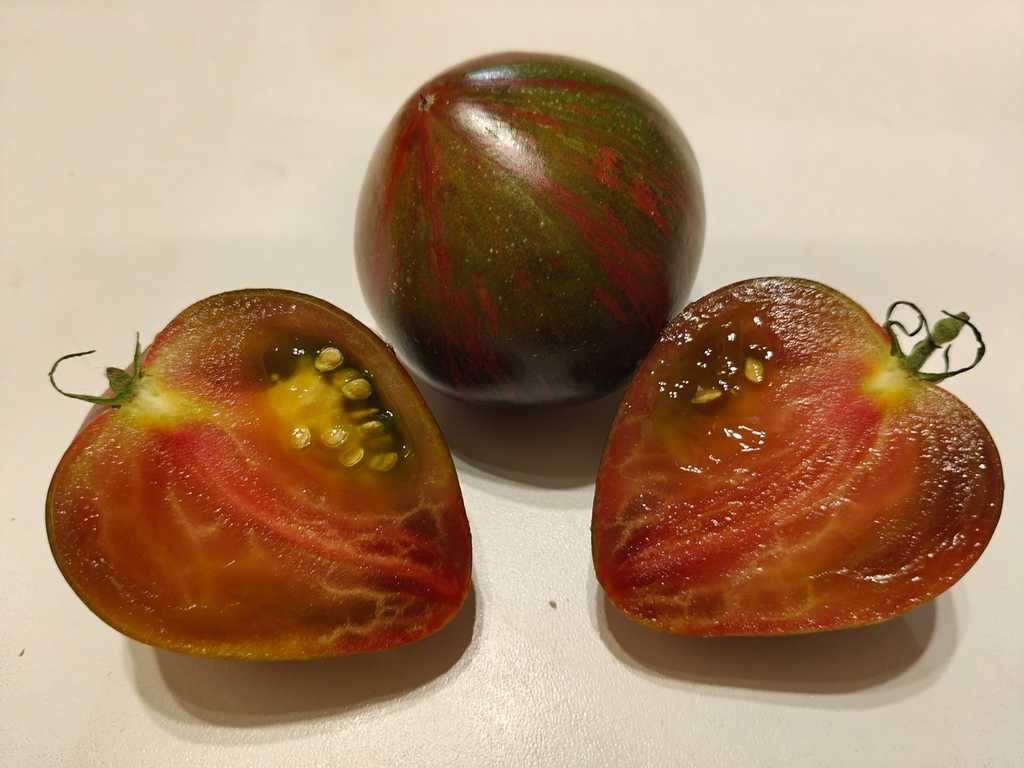 Saljut Viktorii, Victoria's Salute