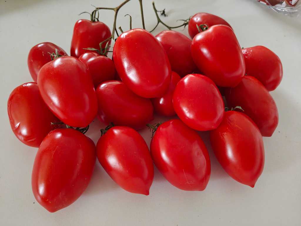 San Marzano 2