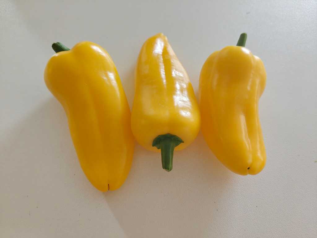 Snackpaprika gul
