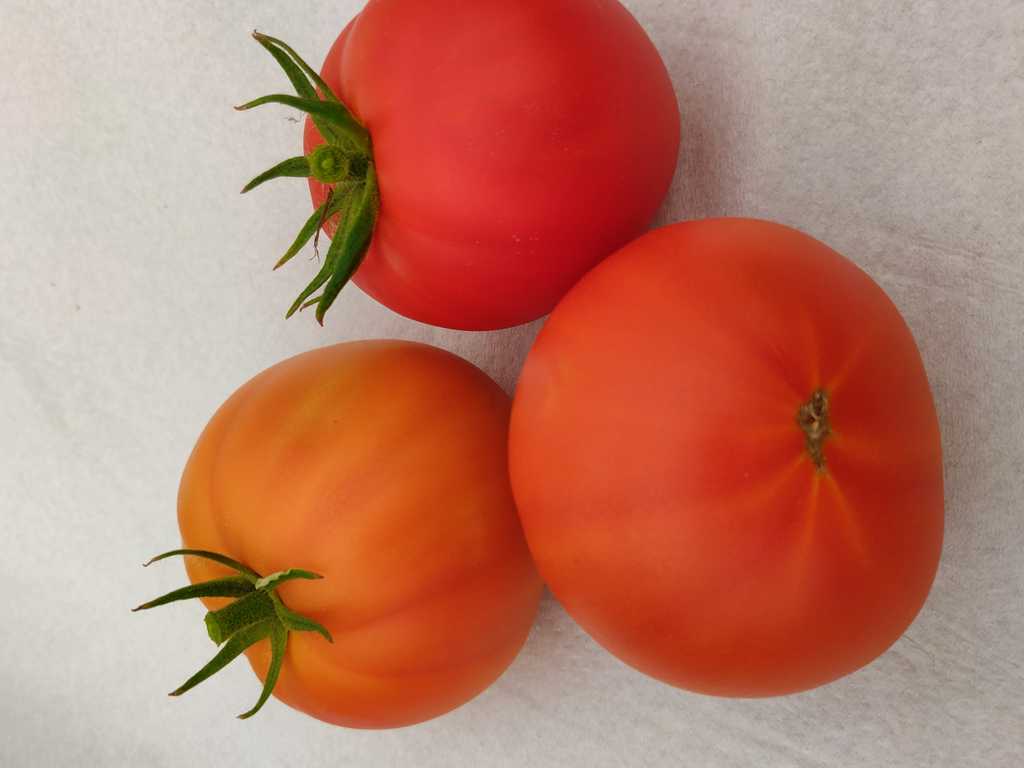 Strawberry Decert (Klubnichnyj Desert)