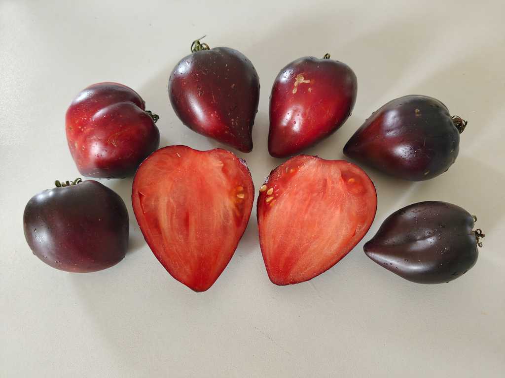 Strawberry Sergeant, Klubnichnyi Serzant