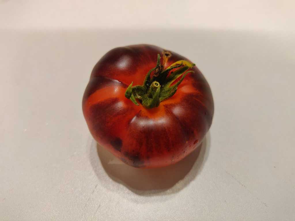 Sunshine Blue Natali