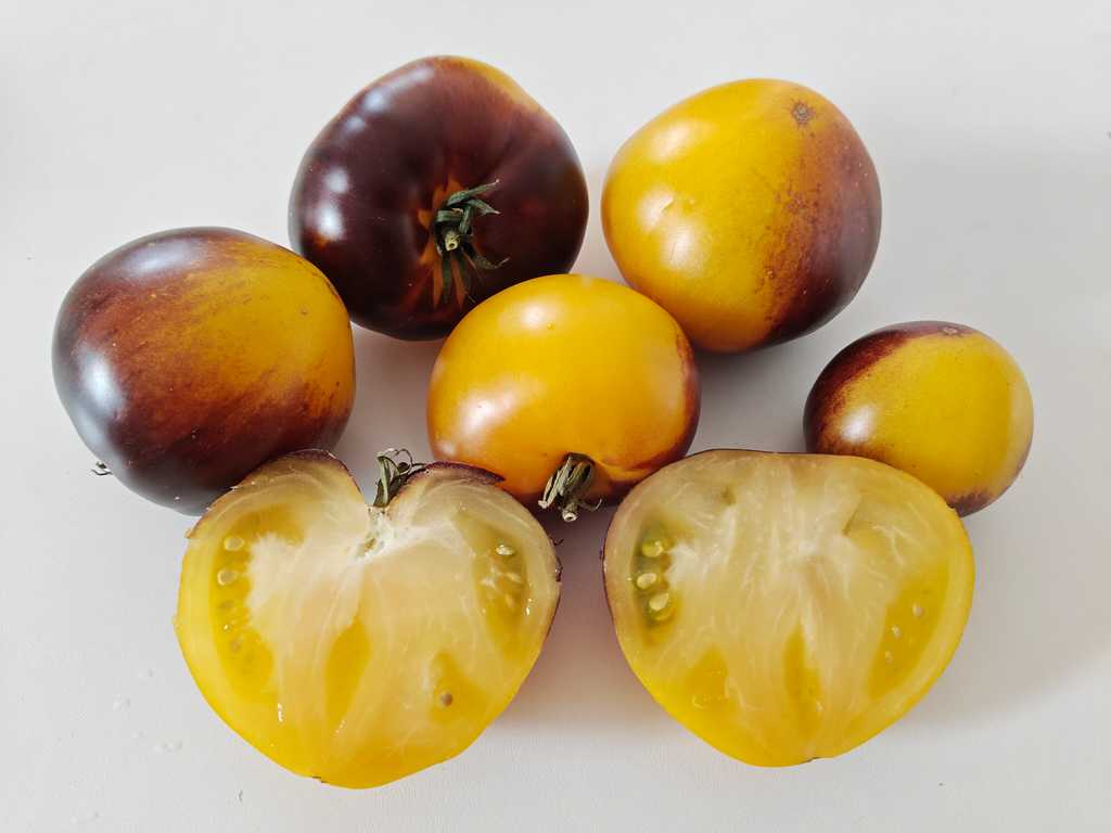 Teardrop Peach,