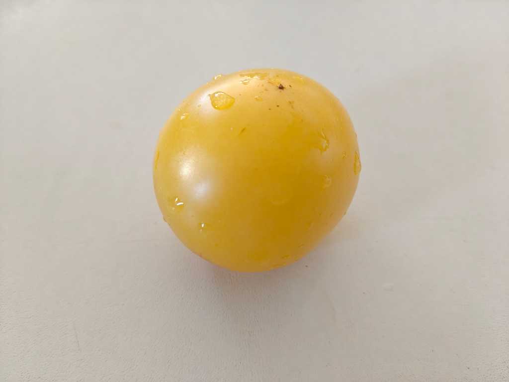 Thornburg's Lemon Blush