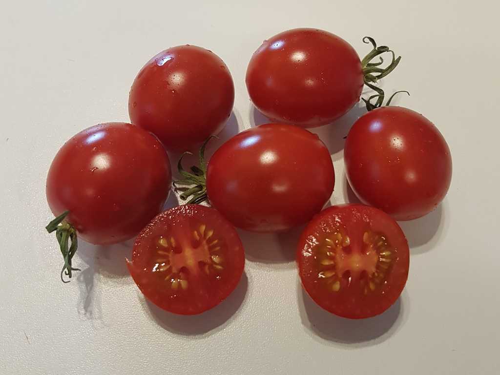 Vesennij Michurinskij