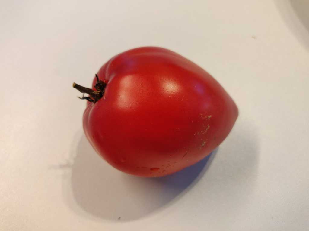 Volovoje Serdze Minusinskoje