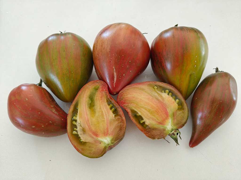 Volshebnaja Raduga, Magic Rainbow