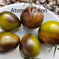 Atomic Fusion