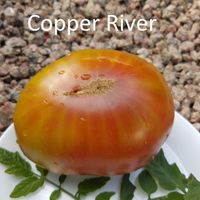 Copper River