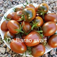De Barao svart