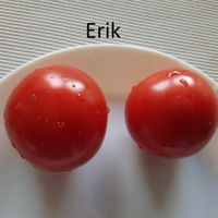 Erik