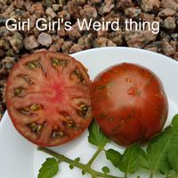 Girl Girl's Weird Thing