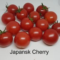 Japansk Cherry