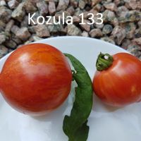 Kozula 133
