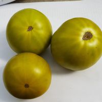 Malakhitovaja Shkatulka, Malakhit Box