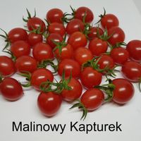 Malinowy Kapturek