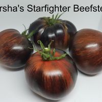 Marsha's Starfighter Beefsteak
