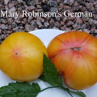 Mary Robinson's German