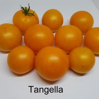 Tangella