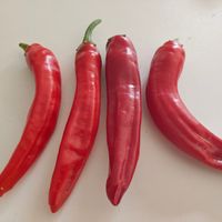 Chili Abchazskij Ostryj 15-30 000 shu)