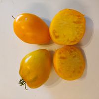 Altajskij Möd, (Altaj honung)