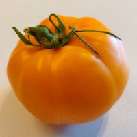 Amish Orange Sherbet