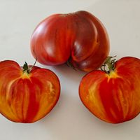 Ananasnyj Serzhant, Pineapple Sergeant