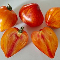 Arkansas Marvel Heart 