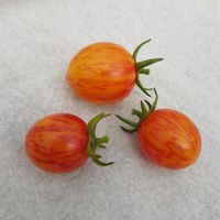 Artisan Golden Bumblebee