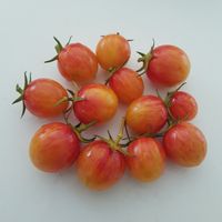 Artisan Sunrise Bumblebee