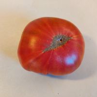 Aunt Lou's Underground Railroad 