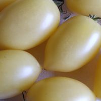 Banana Cream, Cream Sausage