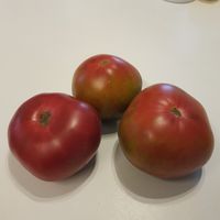 Black Ananas, Ananas Noir