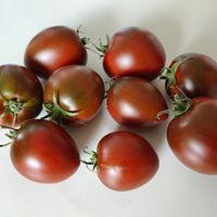 Black Gourmand, Chornaja Lakomka